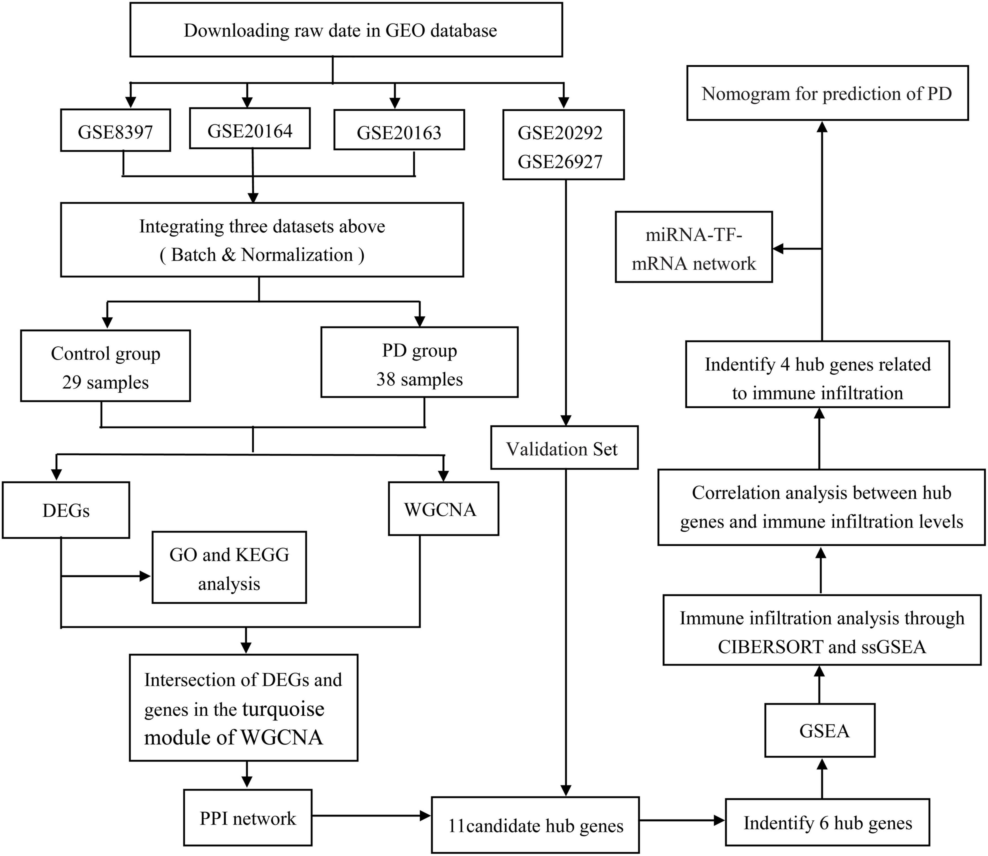 Novel diagnostic biomarkers related to immune infiltration in Parkinson’s disease by bioinformatics analysis